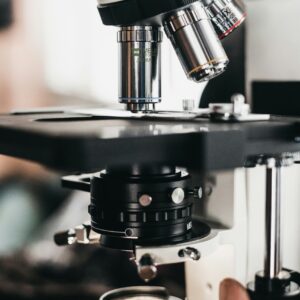 logan-moreno-gutierrez-fN6K30xtiKE-unsplash logan-moreno-gutierrez-fN6K30xtiKE-unsplash